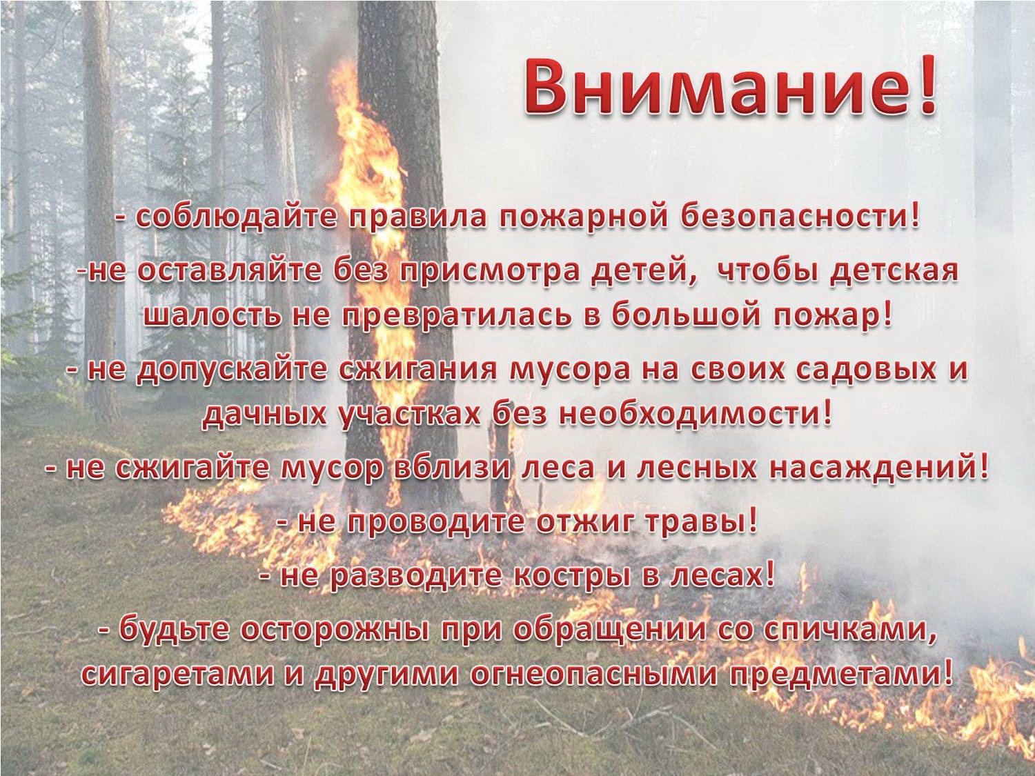 Запрет на выжигание сухой травы.